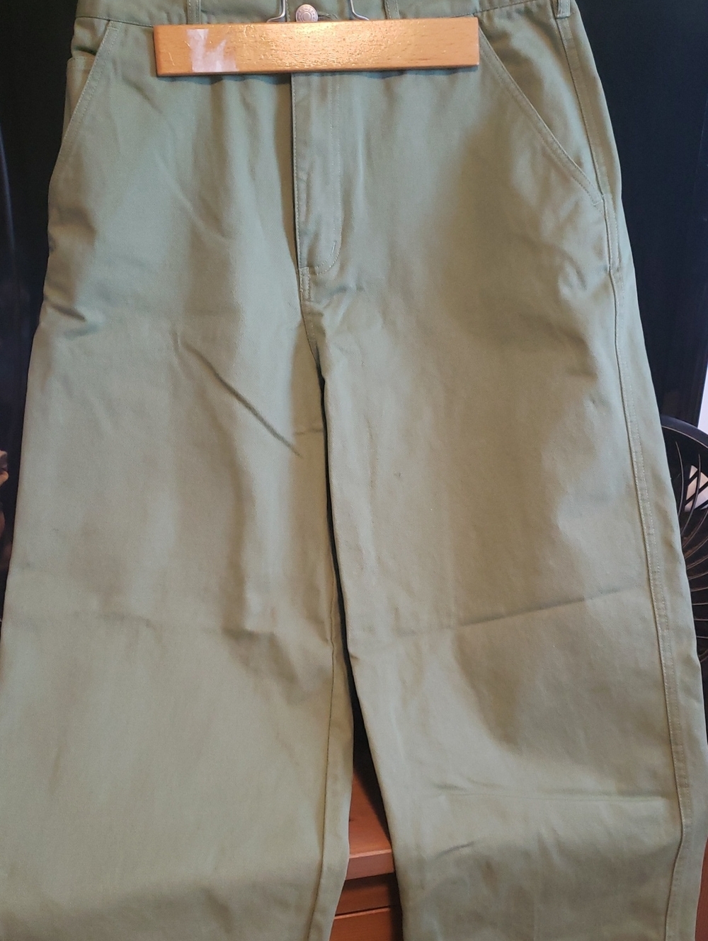Obey Olive Green  Pants